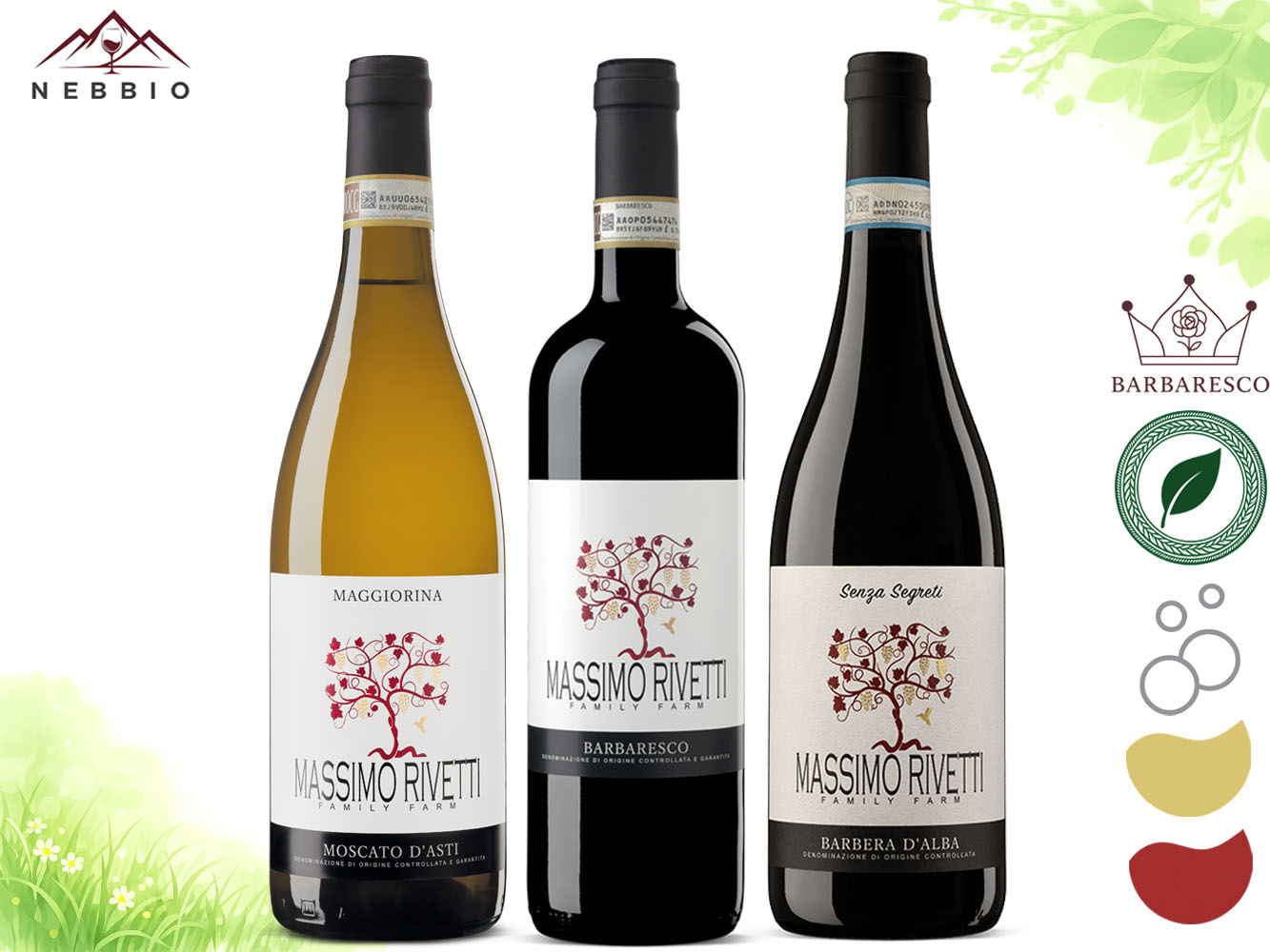 Moscato, Barbera Senza Segreti & Barbaresco