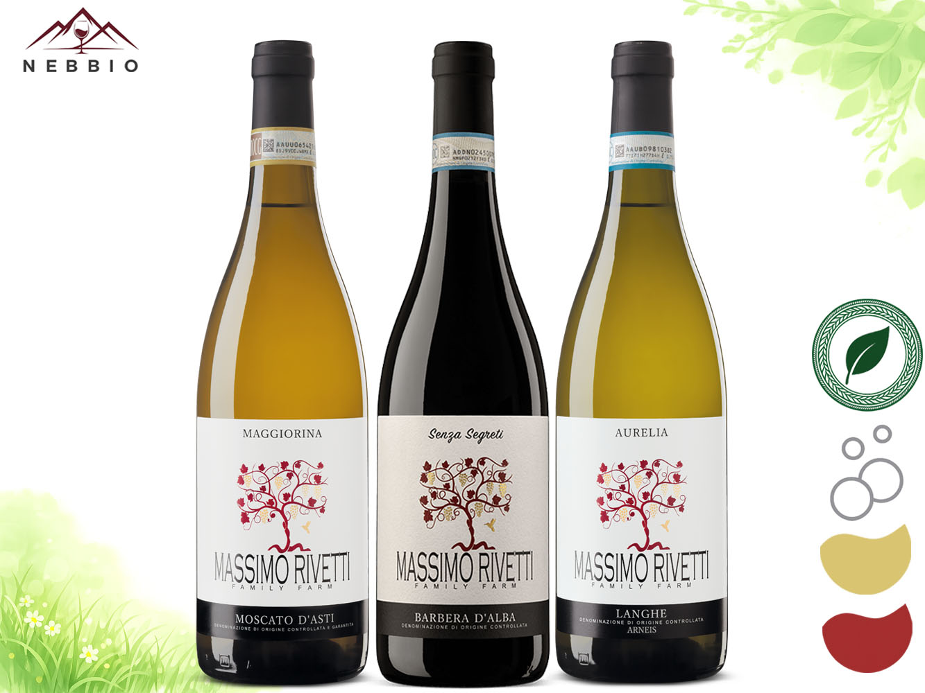 Moscato, Barbera Senza Segreti & Langhe Arneis – „Ke koláči i k obědu“